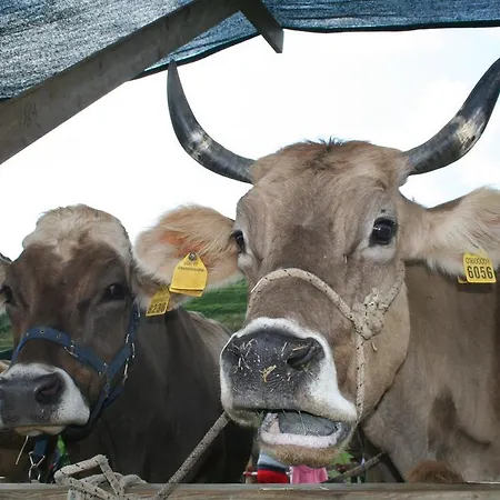 ベッド・アンド・ブレックファスト La ベルガモ