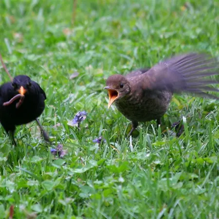 La Bed & Breakfast 3*