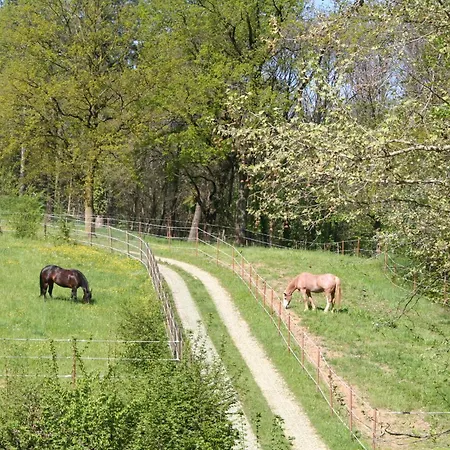 La Bérgamo