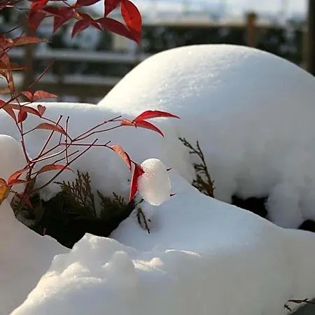 Bed & Breakfast La Bergamo