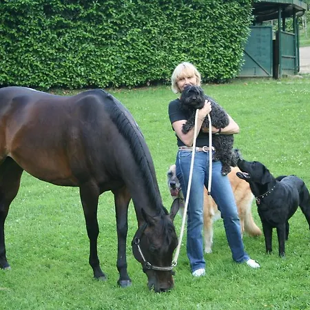 Bed & Breakfast La Bergamo