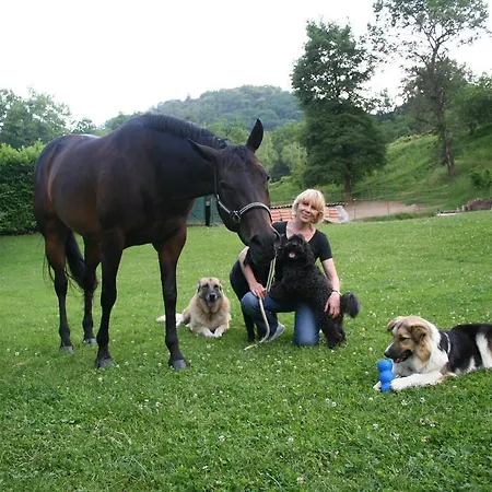 La Bed & Breakfast Bergamo