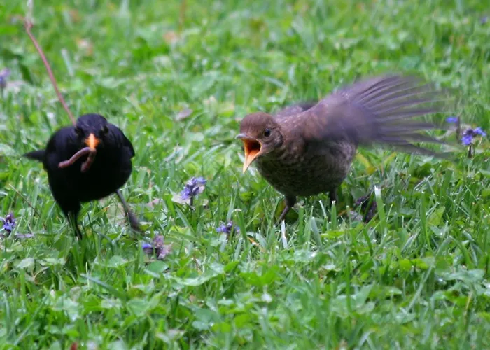 La Bed & Breakfast 3*