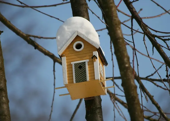 Bed & Breakfast La 3*