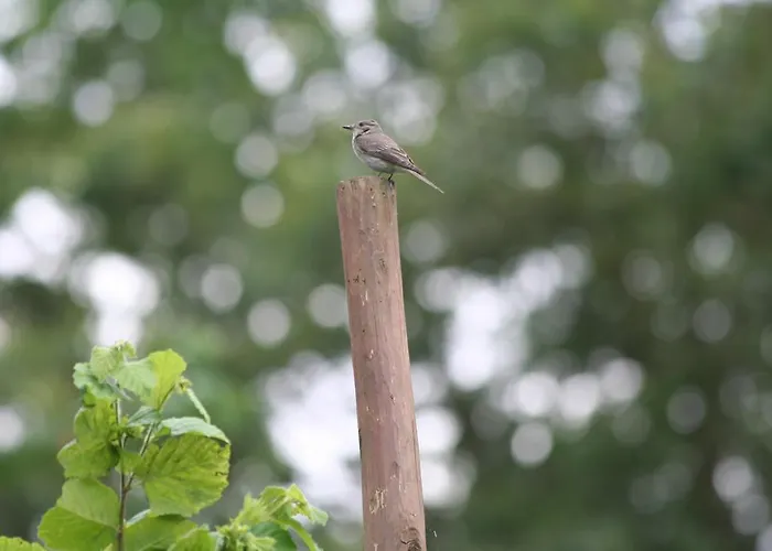 La Bed & Breakfast 3*