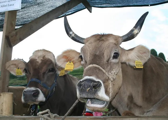 Bed & Breakfast La Bergamo