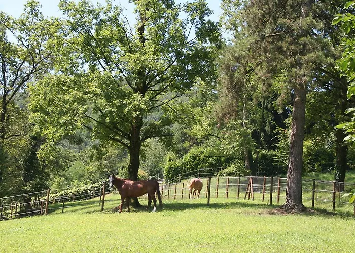 Bed & Breakfast La Bergamo