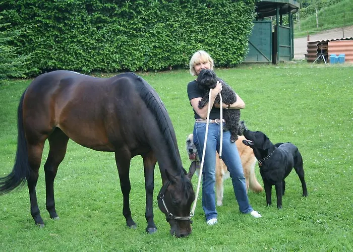 Bed & Breakfast La Bergamo