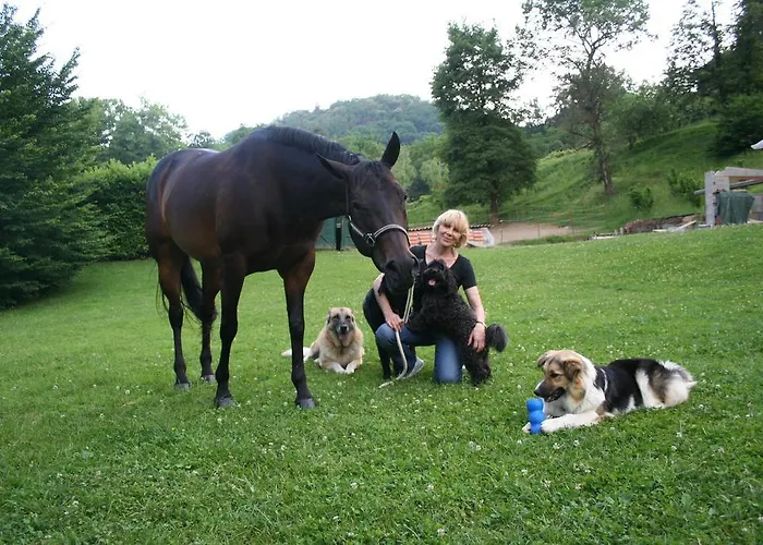 La Bed & Breakfast Bergamo